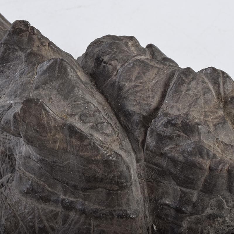 天然石　鑑賞石　太湖石　霊壁石　置物　約1579g　唐木台付　M　R8881