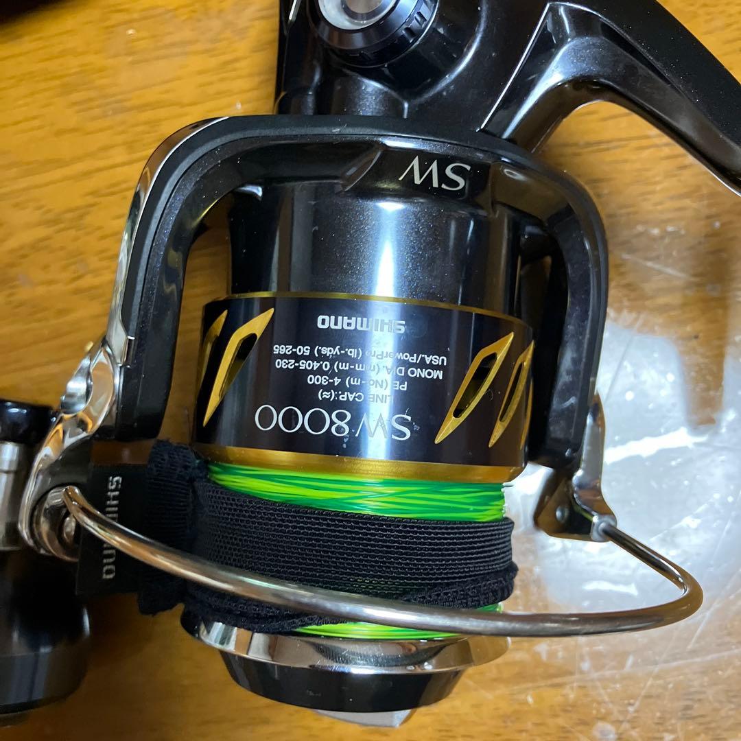 シマノSTELLA SW8000PG