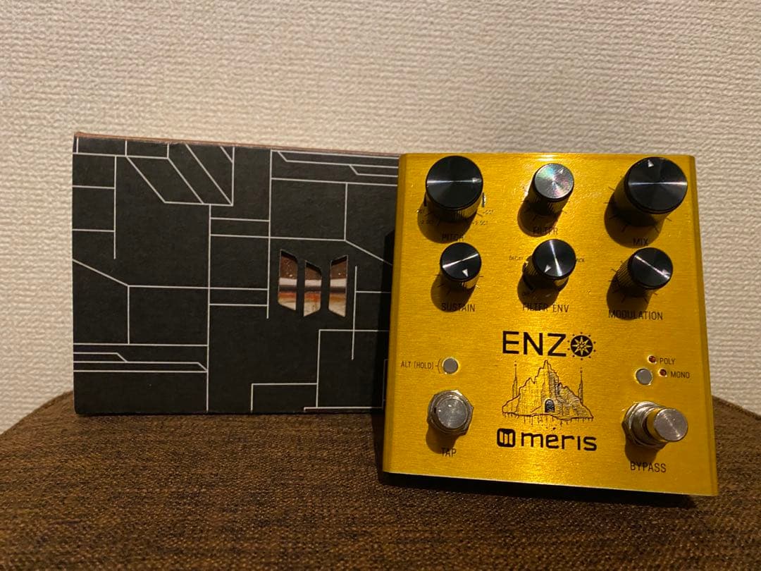 ギター meris ENZO
