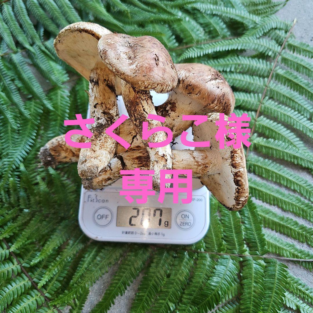 広島県産 松茸207g+　さくらこ