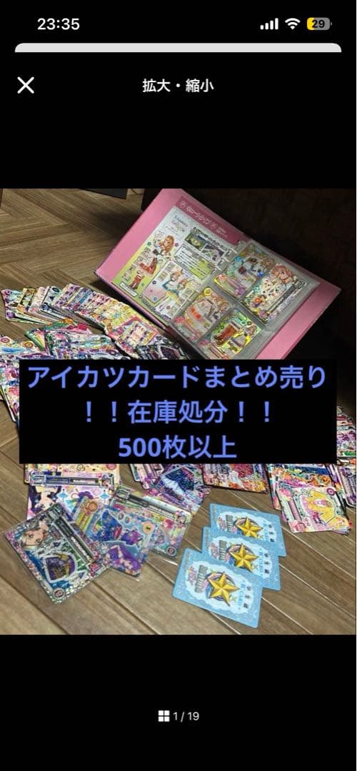 シャムタビー✨