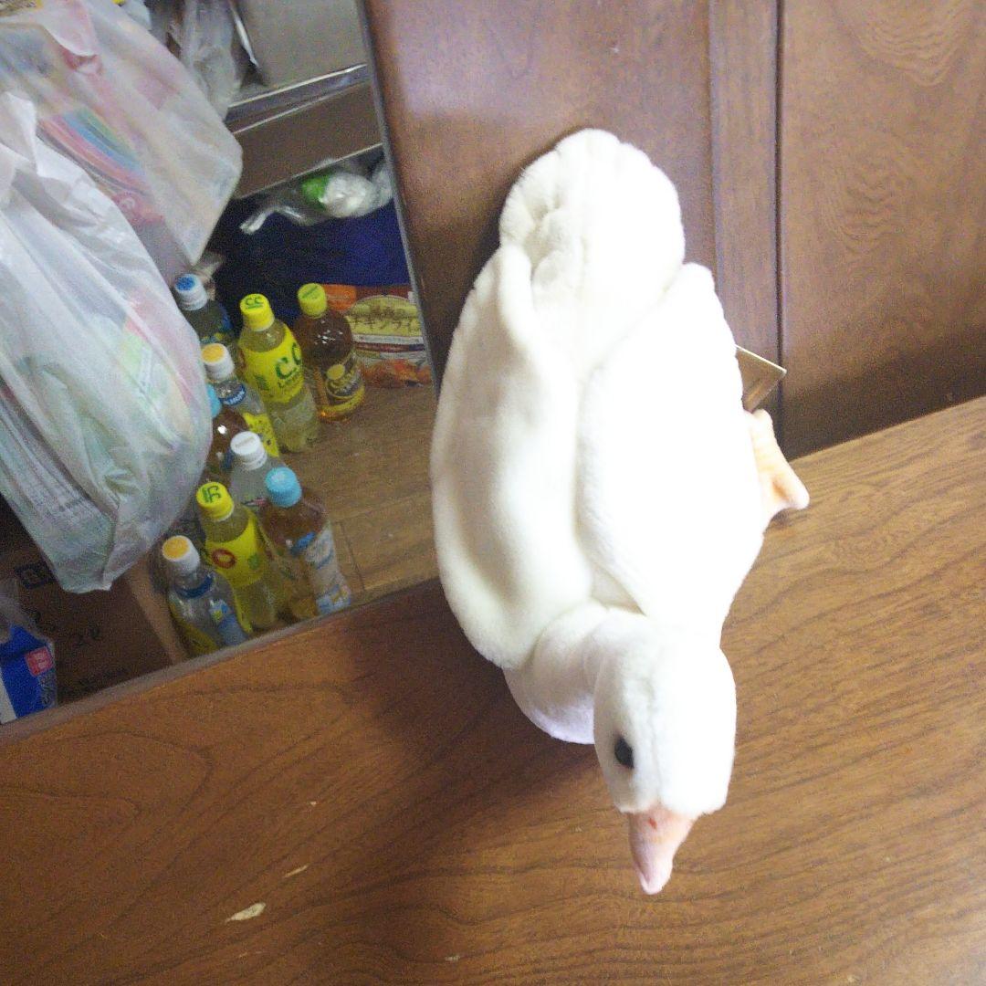 鳥ぬいぐるみ