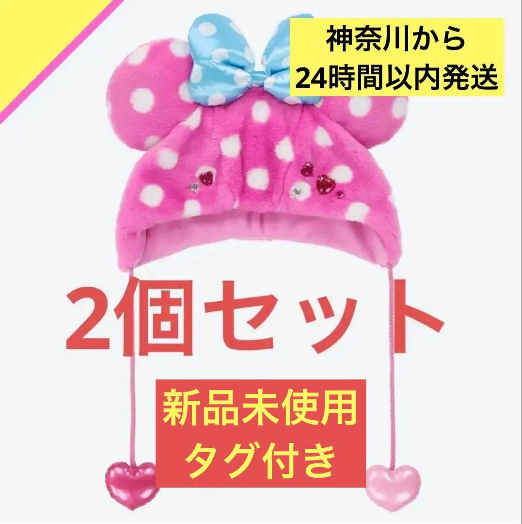 ミニーのファンダーランド ファンキャップセット パルパルーザ2026 ミニファン