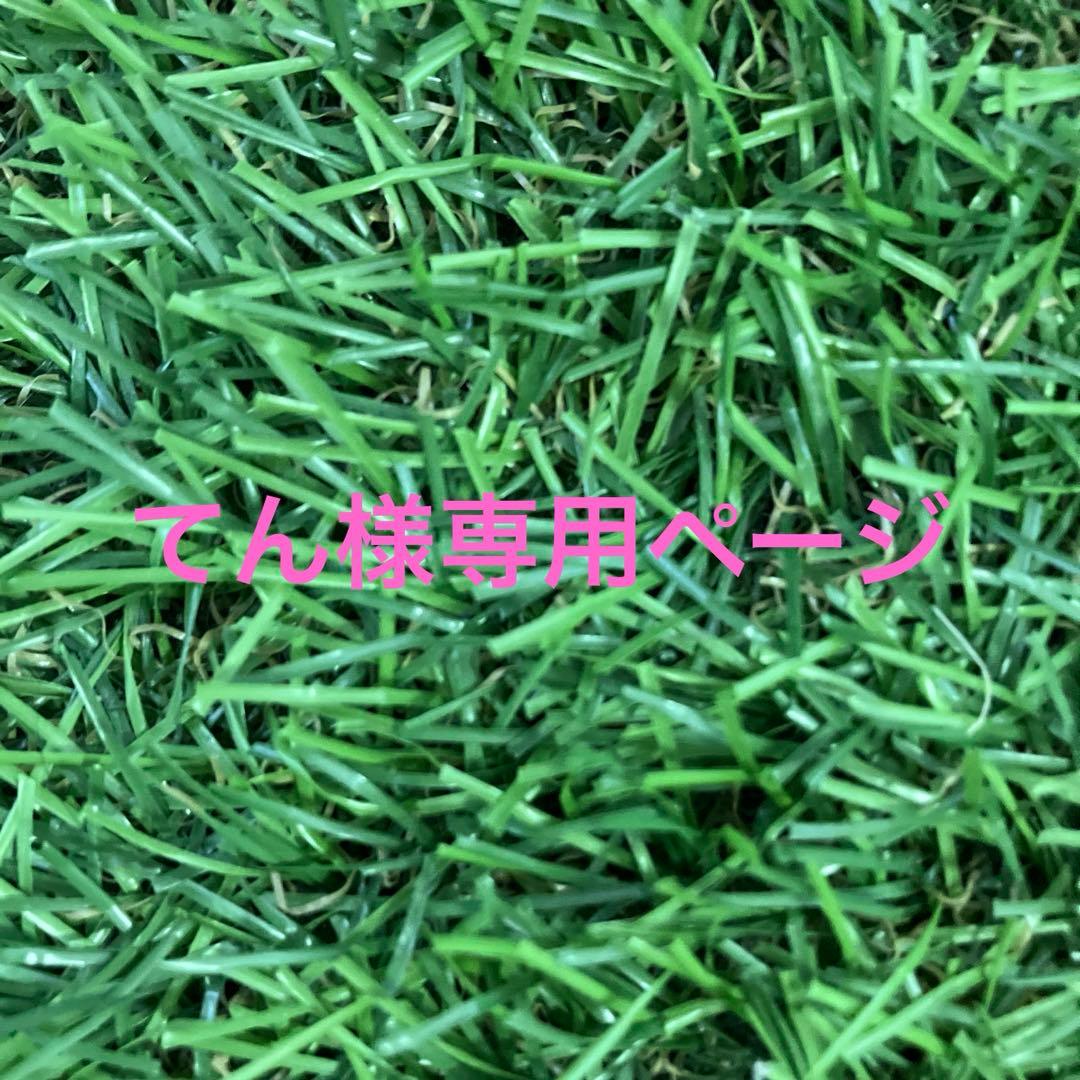 【てん】　アイアンセット