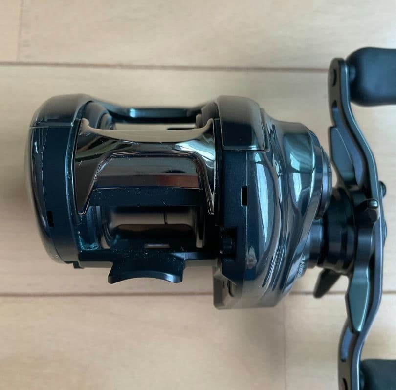 ダイワ スティーズ 24 STEEZ SV TW 100XH