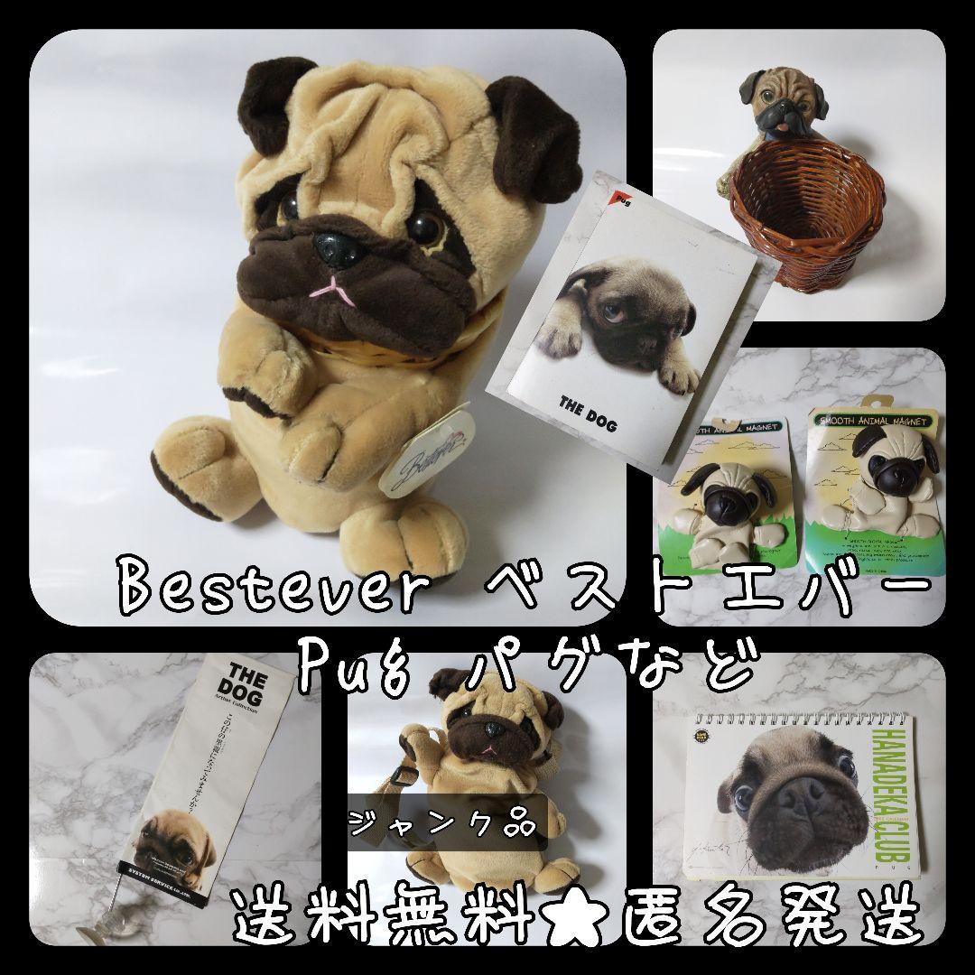 レア！ Bestever ベストエバー Pug パグ　の商品など【ヴィンテージ】