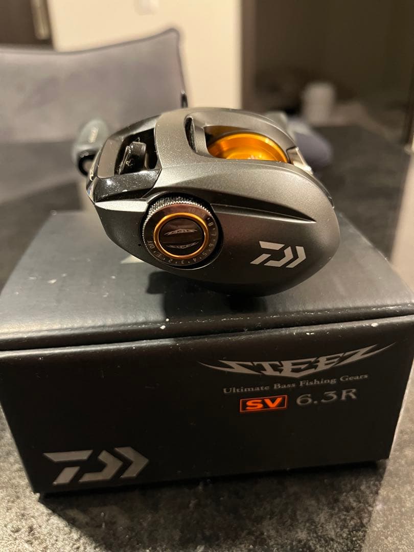 ダイワSTEEZ SV 6.3R ベイトリール