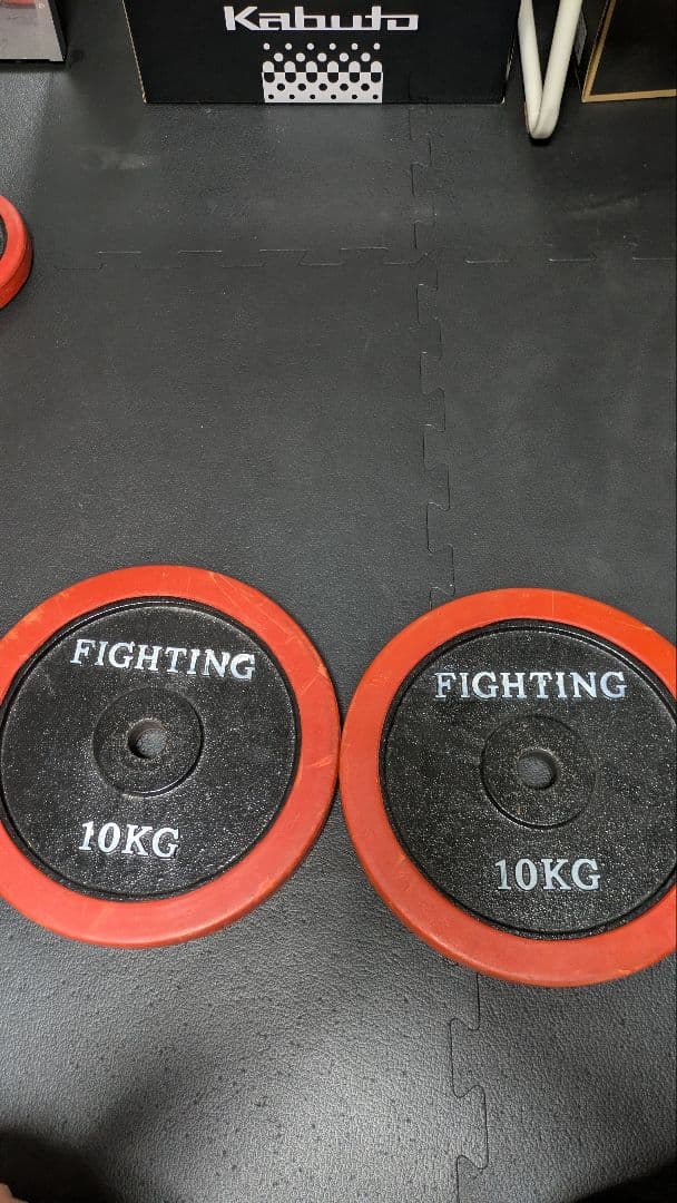 FIGHTING ロードプレート 10KG 2個セット
