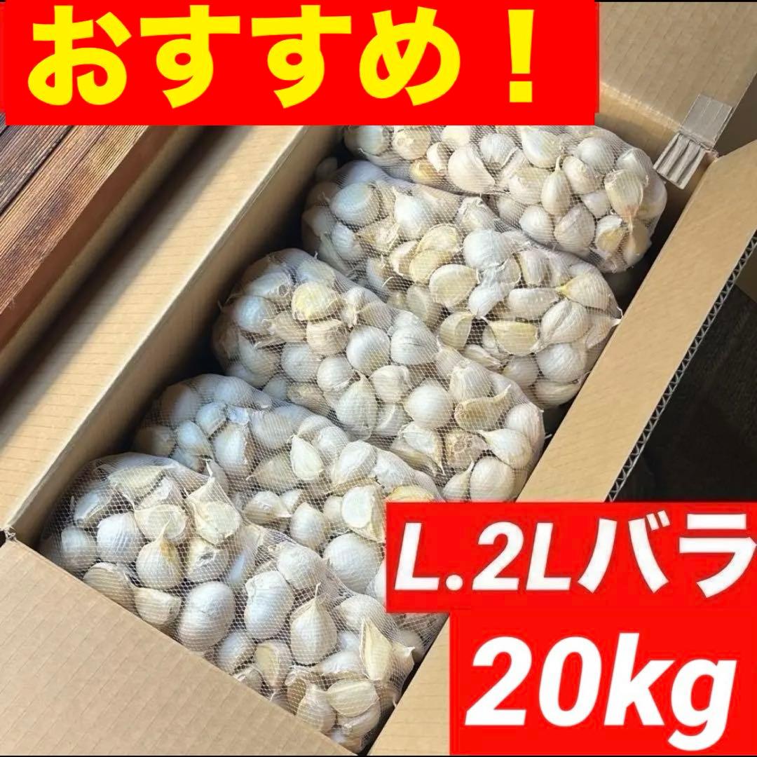 【お買い得セール】青森県 福地ホワイト にんにく L.2Lバラ 20kg