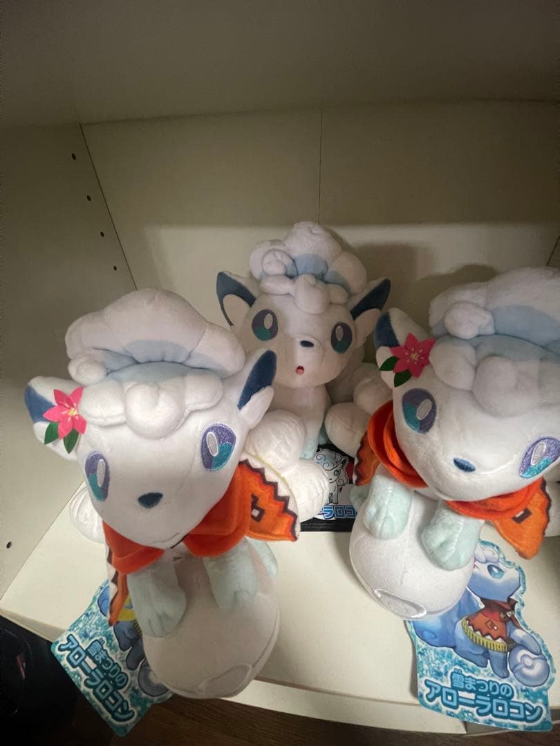 15時まで購入本日発送可　雪まつりのアローラロコン&アローラロコン　3匹セット