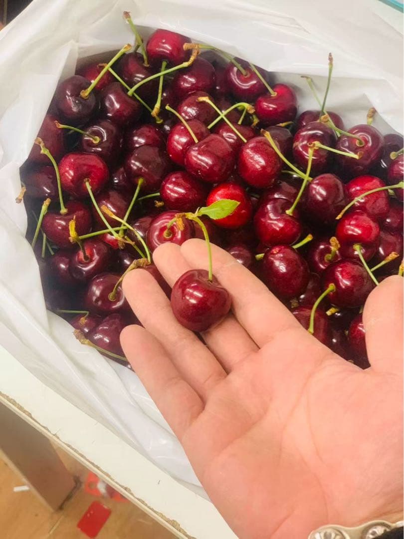 オーストラリア産チェリー2.5kg高級特大号