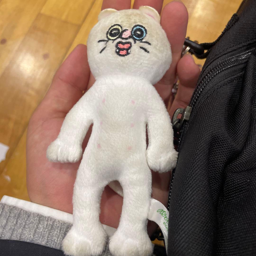 たいがのきーぼ