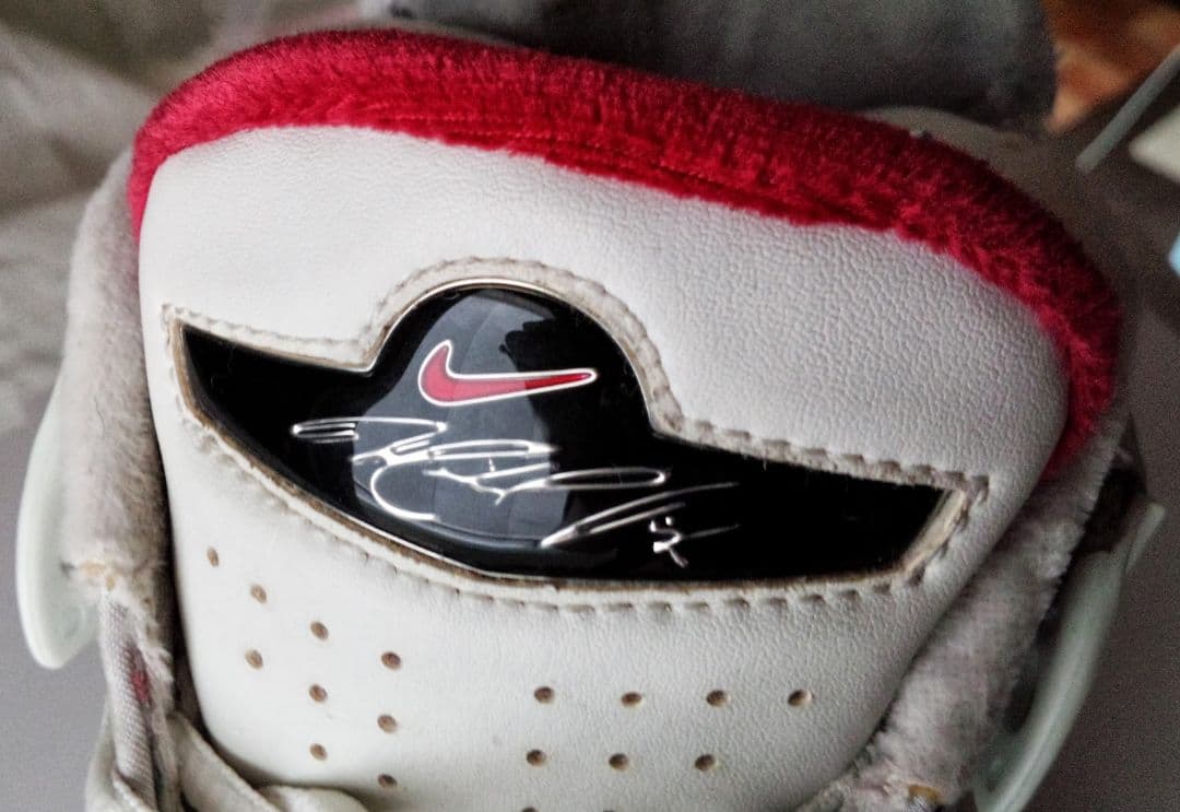 Michael Vick マイケルヴィック 実使用シューズ 直筆サイン 証明書