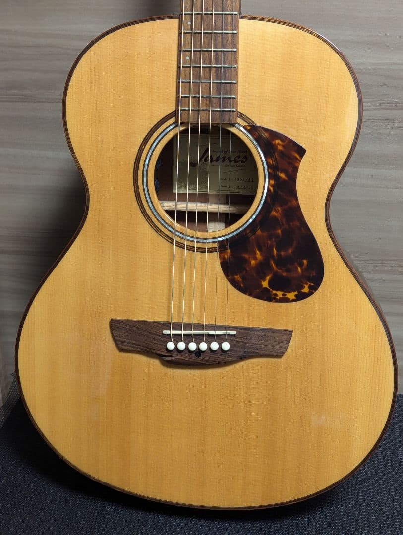 James J-800A オール単板 上位モデル エレアコ ケース付き