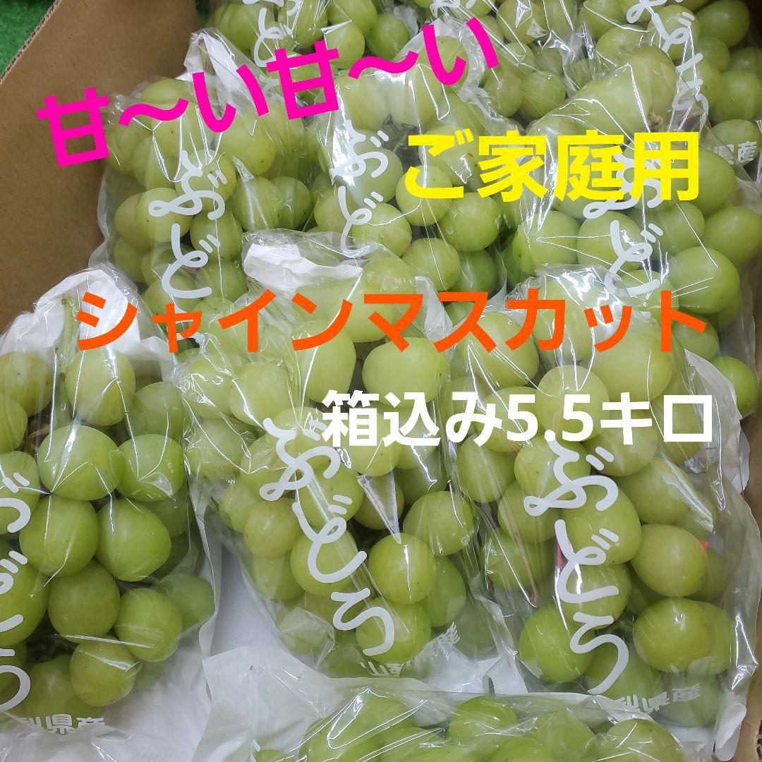 9️⃣ 山梨県産 シャインマスカット １０房入り 箱込み5.5キロ