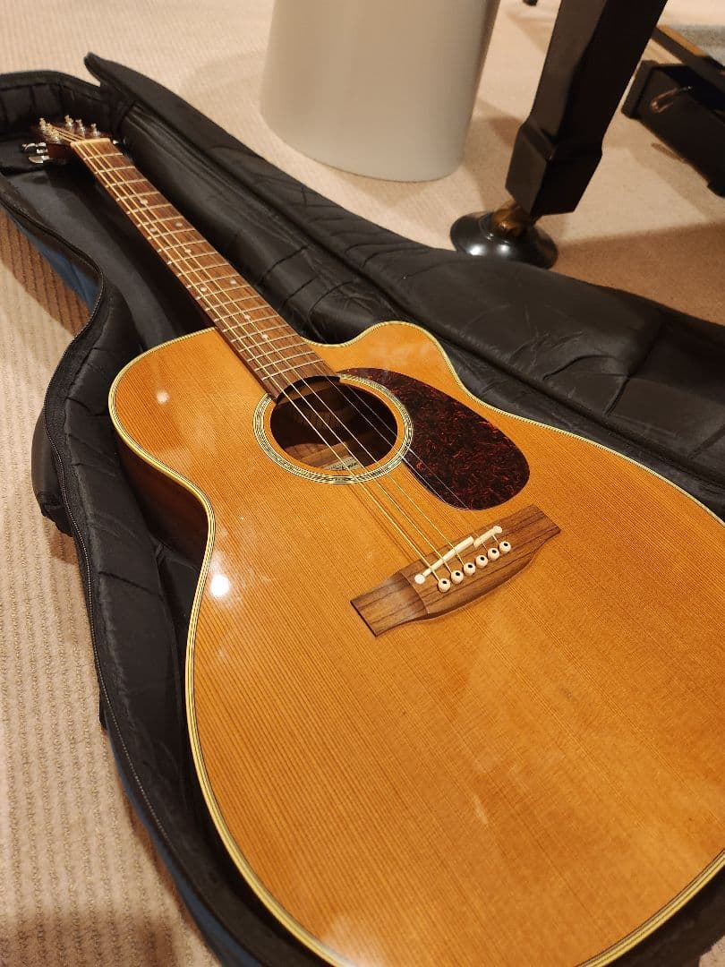 ギター Takamine PTU731KC N