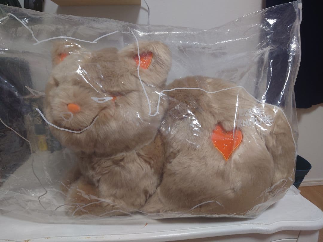 Ｉさん専用リイシューねこちゃん Apricot Beig