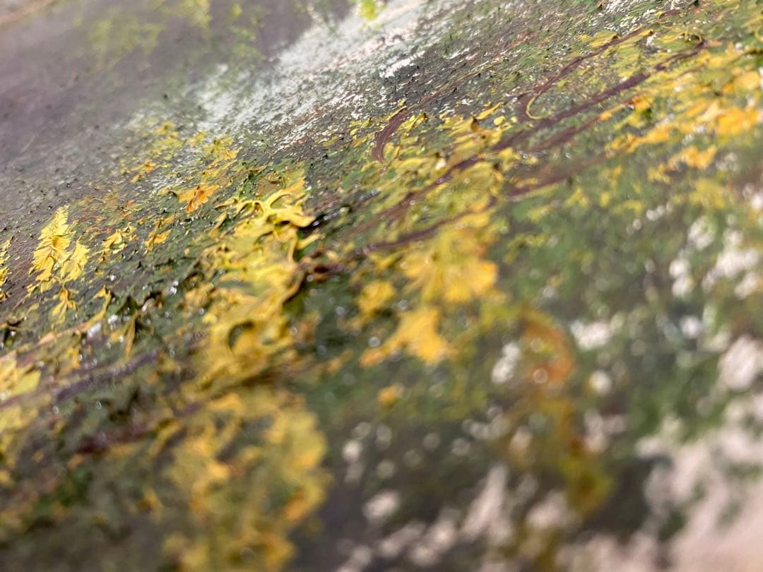 3-3302 風景画 油絵 絵画 油彩画 肉筆 美術 アンティーク　額縁無　油彩