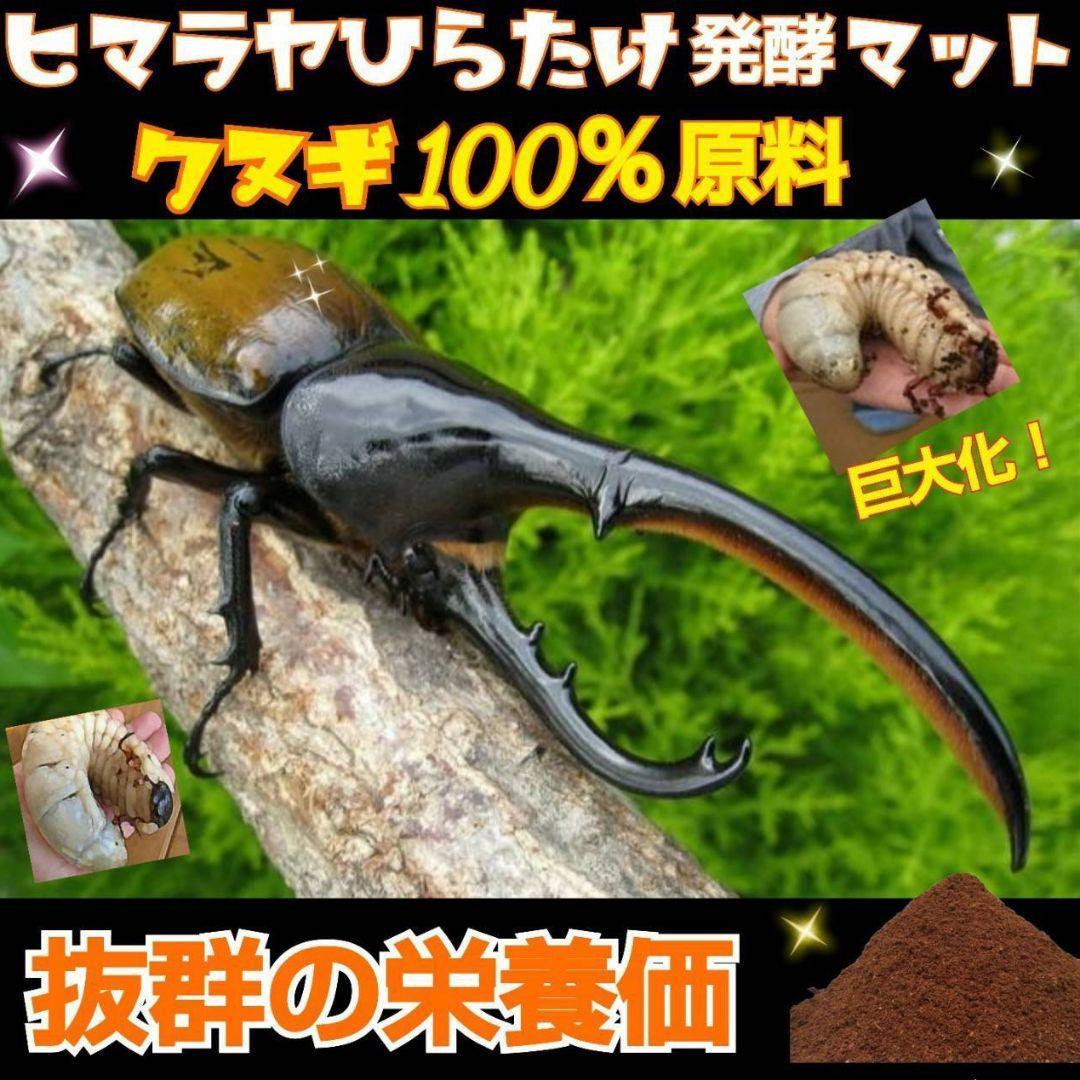 たっぷり200リットル☆大量飼育に！カブトムシ幼虫専用発酵マット☆産卵にも抜群！