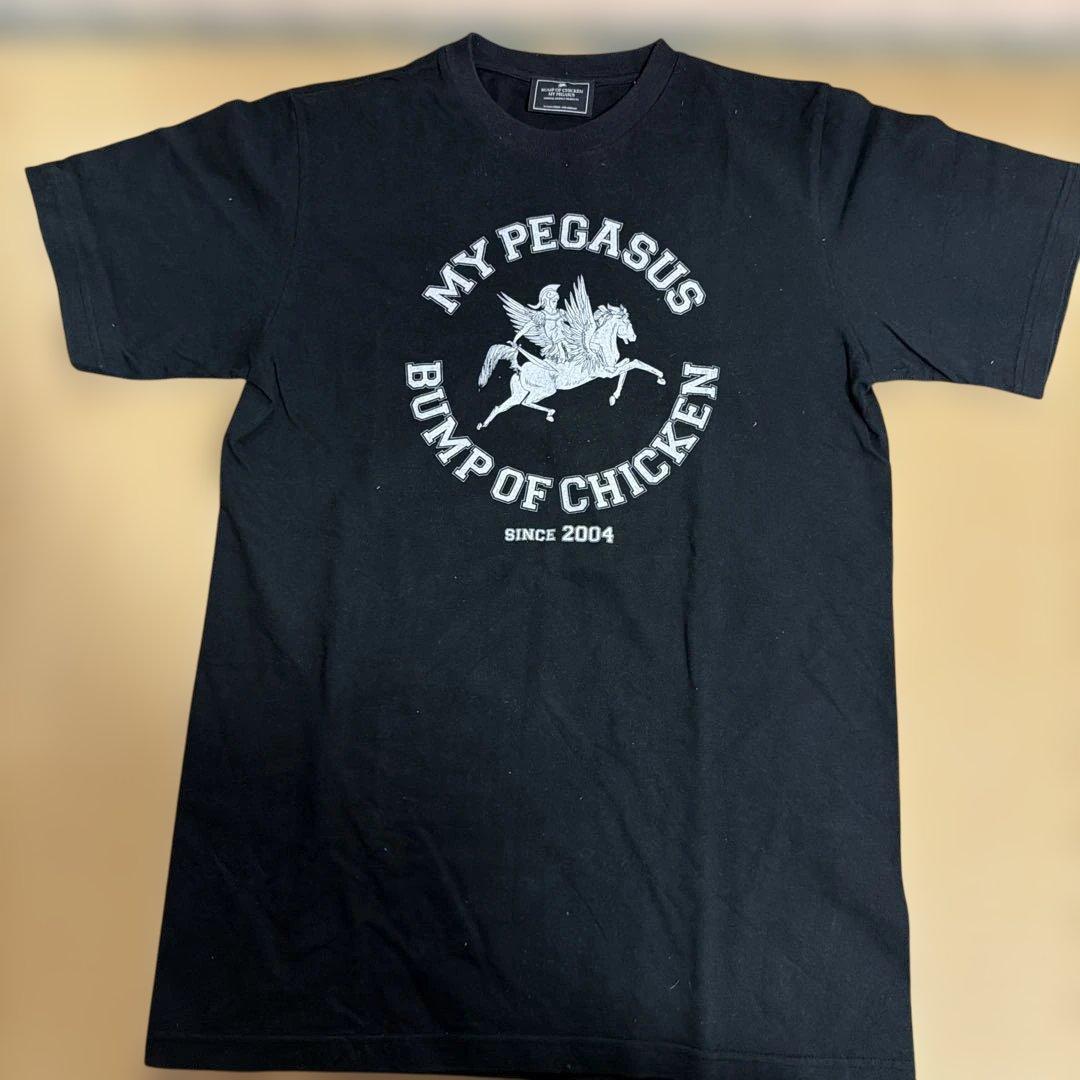 BUMP OF CHICKEN MY PEGASUS 2004 ツアー