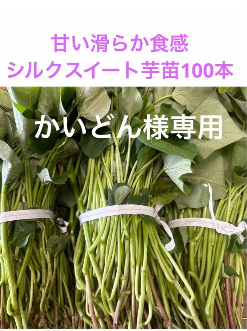 かいどんページ