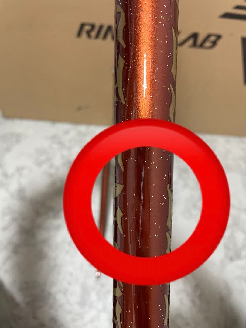 RINSEILAB 鉄フレーム　ピスト　　NJS認定