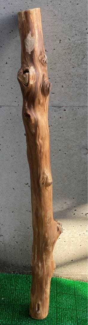 希少　樹齢150〜200年　杉枝　約126cm 鑑賞　庭　インテリア 骨董　華道
