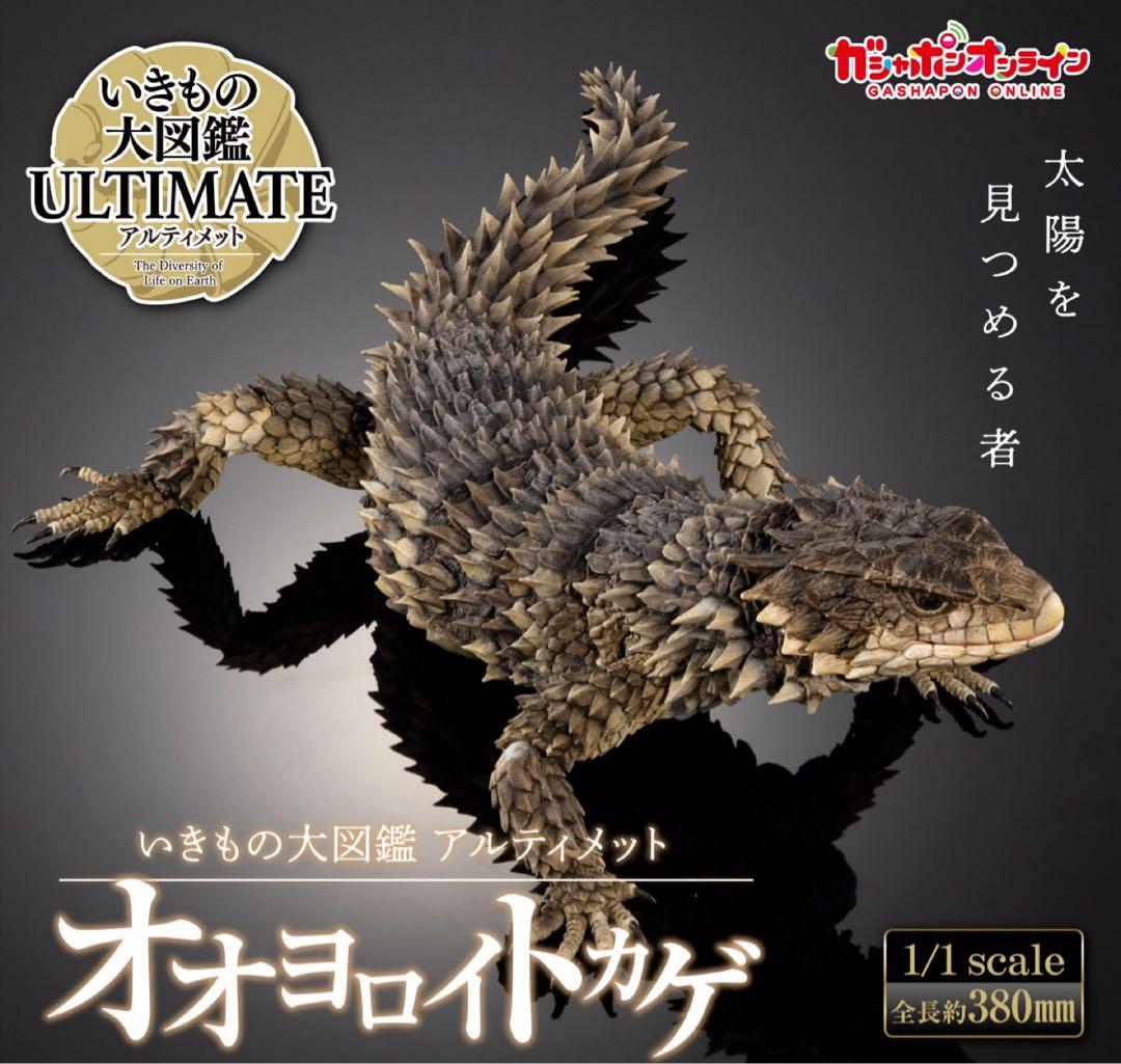 いきもの大図鑑アルティメット オオヨロイトカゲ 新品未開封 ③