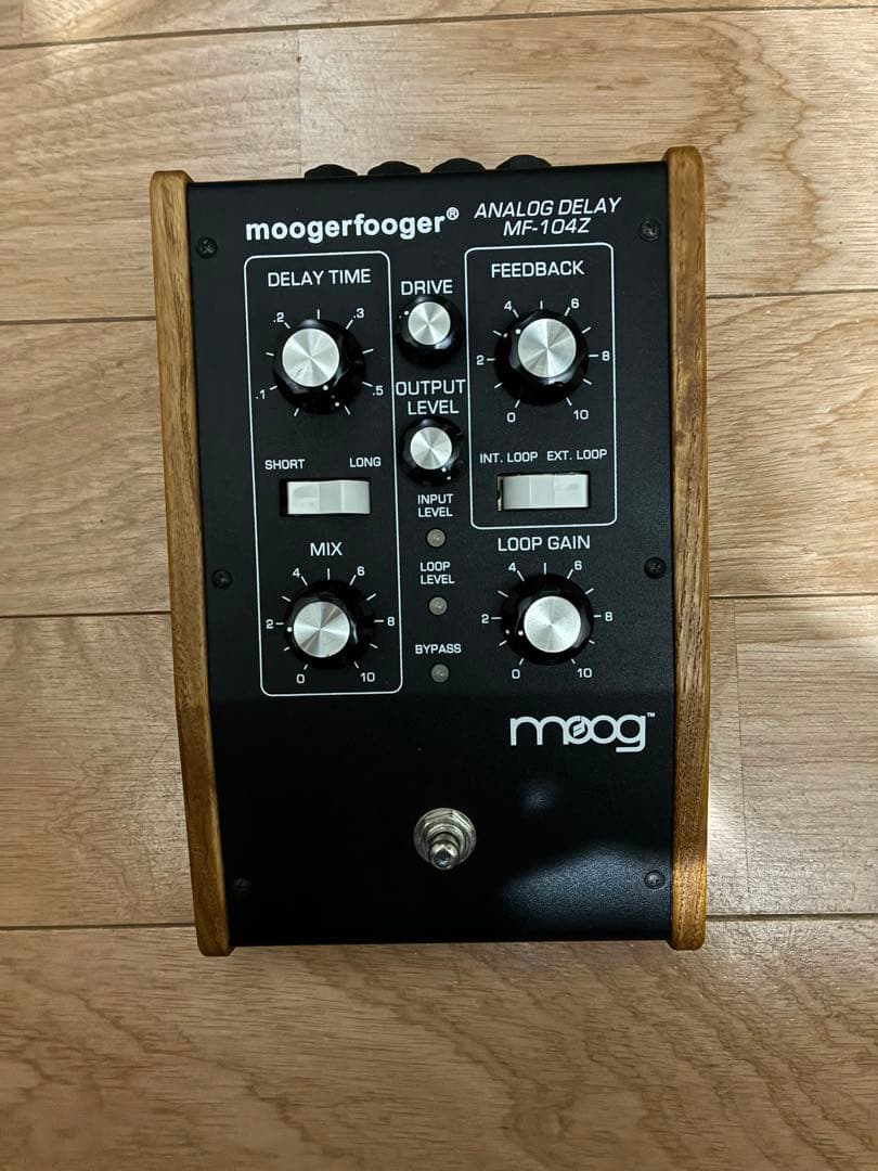 ギター Moog