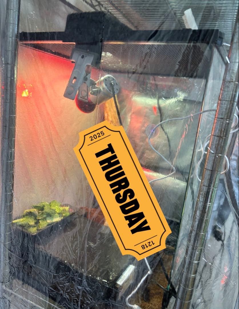 中型温室・ハンギングライト・バルブセット