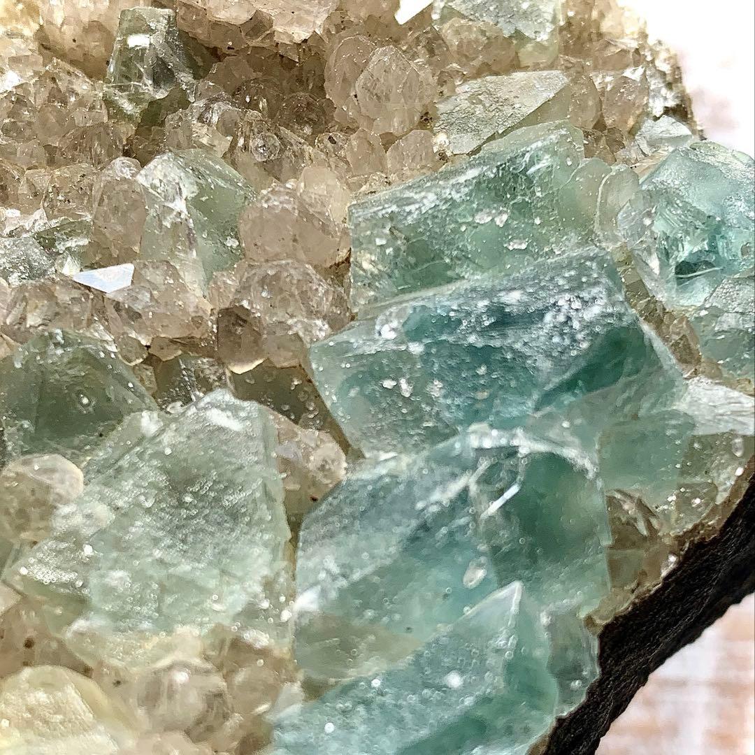 珍品！フローライトクラスター/水晶と共生/母岩付き標本