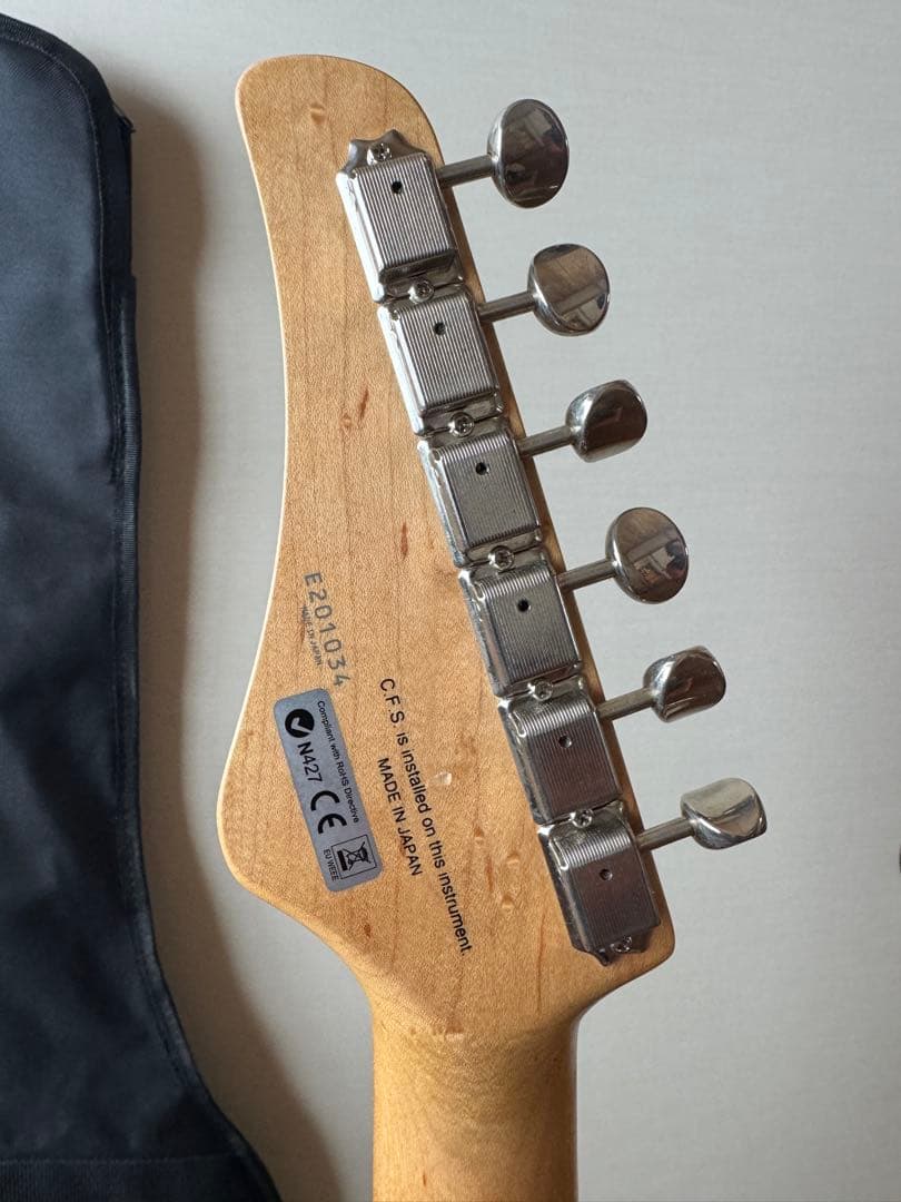 ギター FGN BOS2-M