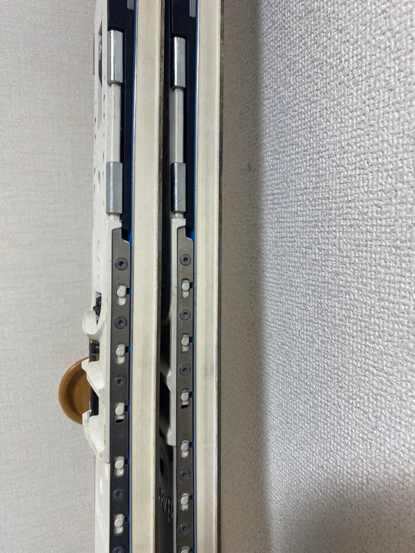 VOLKL フォルクル RACETIGER GS 183cm WCスキー板のみ