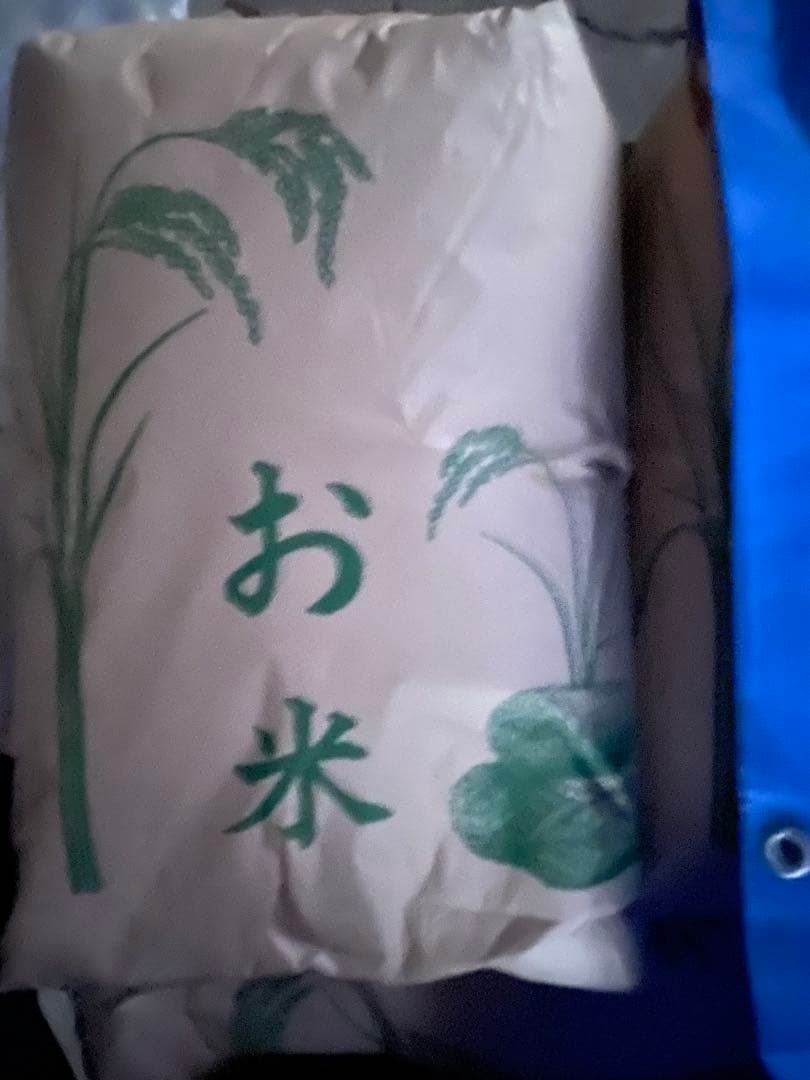 令和7年産　コシヒカリ30キロ1等米