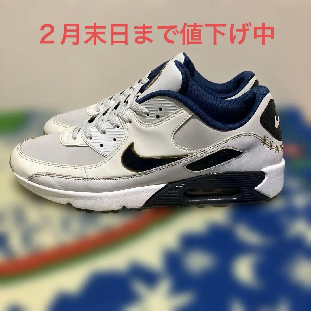 【レア】Nike エアマックス90G NRG Pure Platinum27cm