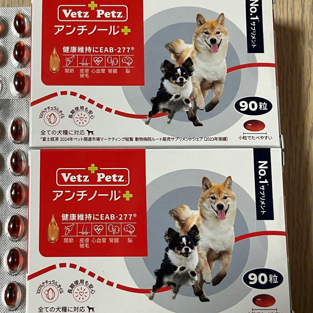 アンチノールプラス 90粒２箱