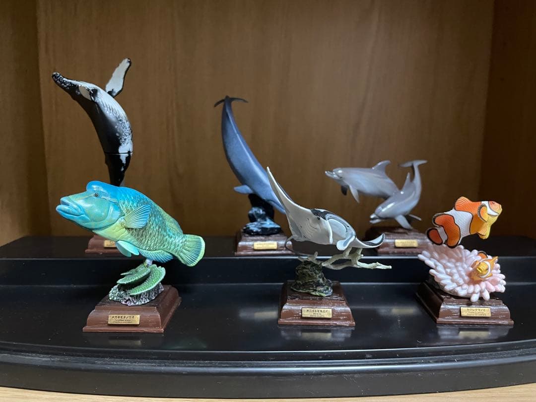 ネイチャーテクニカラー　海洋Ⅰ 初版　6種セット