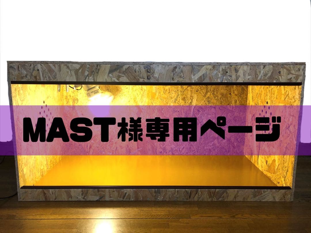 MASTページ