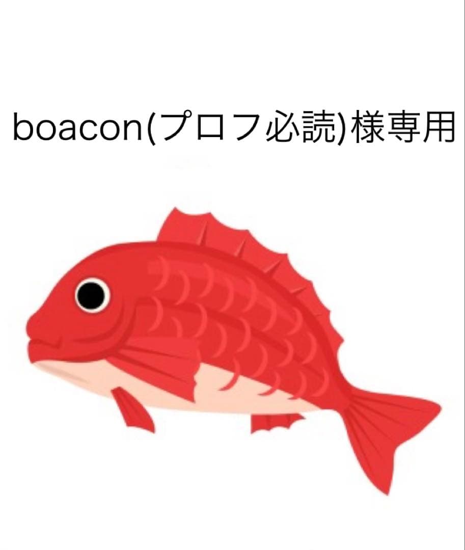 タイラバ　タングステン　boacon(プロフ必読)