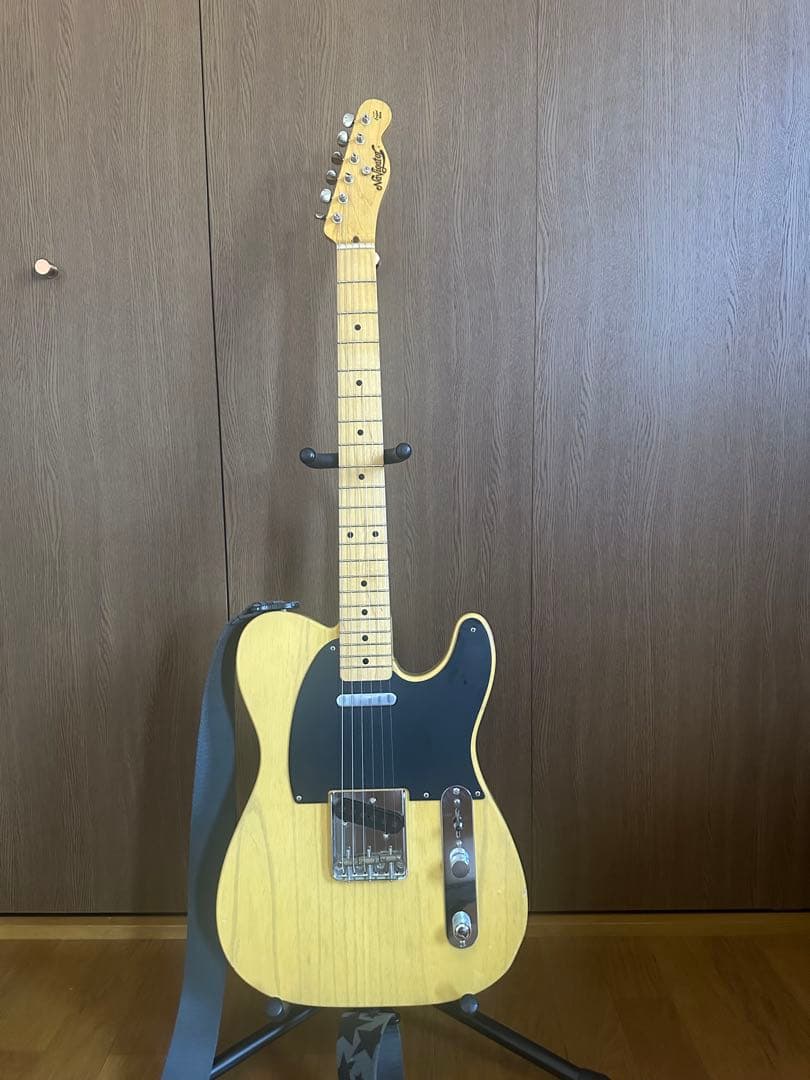 ギター navigator N-TE ASM