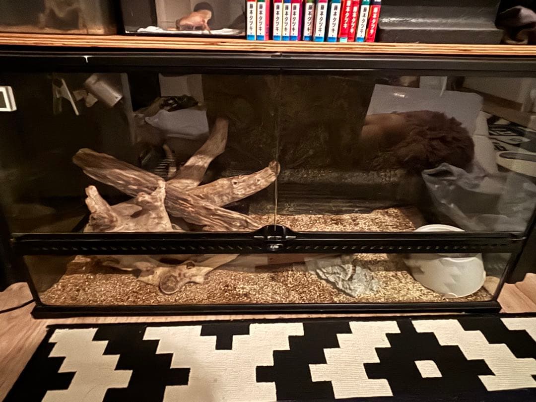 大型飼育ケージ 照明付き