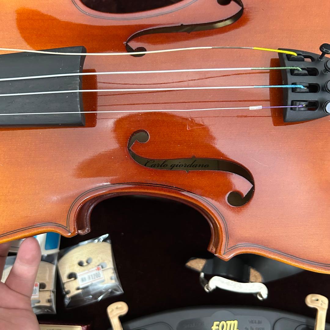 極美品Carlo Giordano VS-1 4/4カルロジョルダーノバイオリン