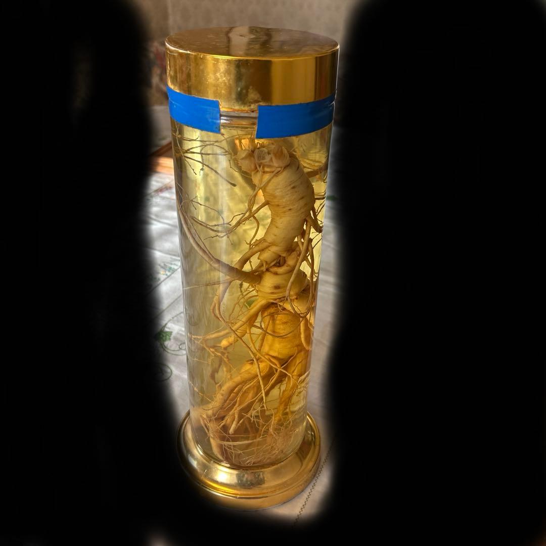 根茎入り透明液体容器 約25cm