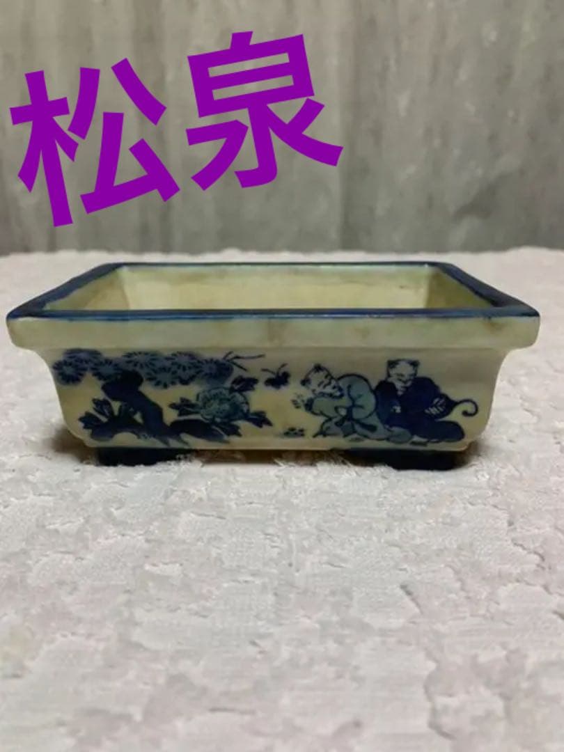 盆栽鉢　松泉
