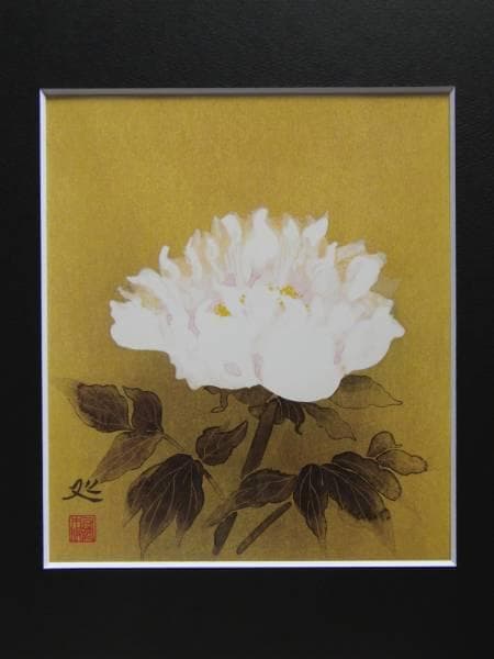 加山 又造、白牡丹、希少画集画、新品額装、状態良好