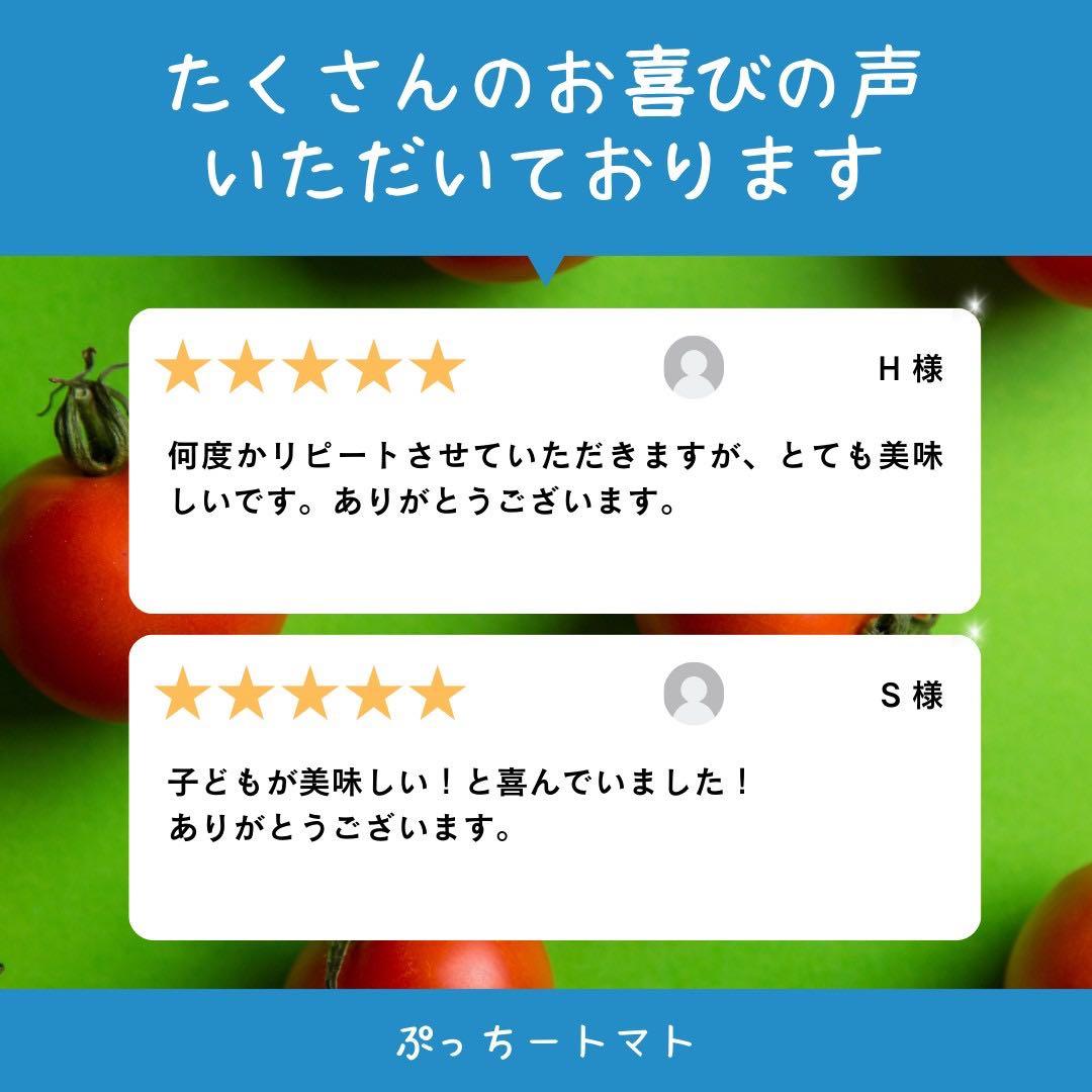 ミニトマト　12キロ　野菜　熊本　おやつ　弁当　おかず　ミネラル　リコピン