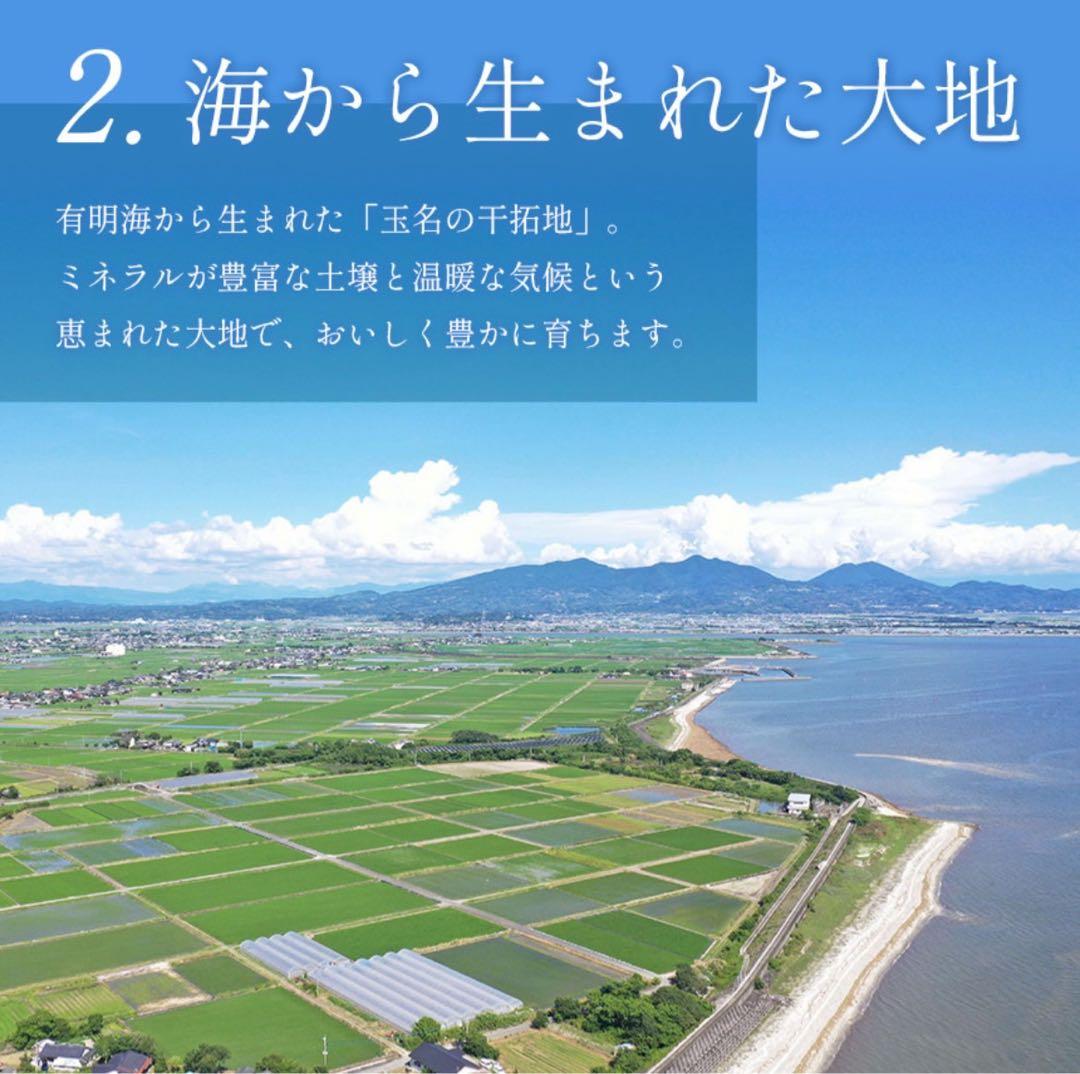 ミニトマト　12キロ　野菜　熊本　おやつ　弁当　おかず　ミネラル　リコピン