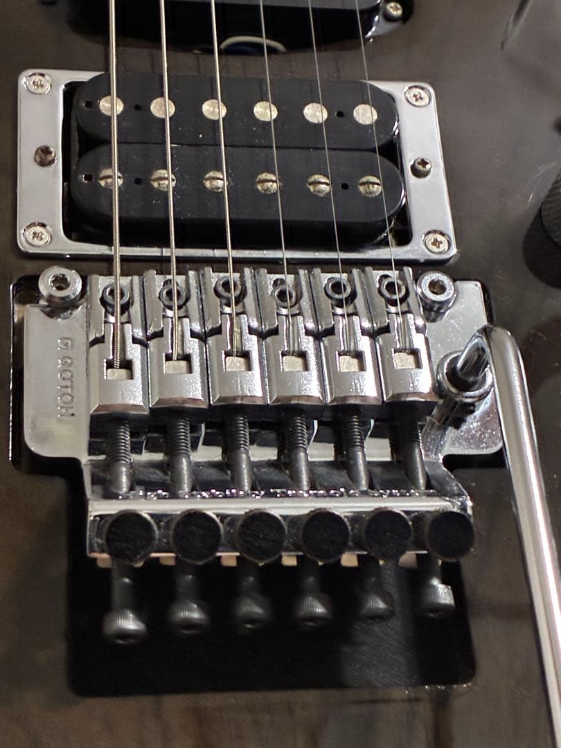 G-Life Guitars DSG Standard ギター