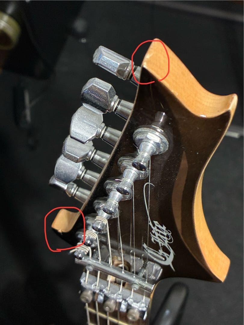 G-Life Guitars DSG Standard ギター