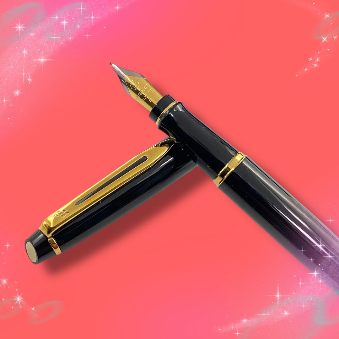 《未使用に近い》 ウォーターマン エキスパートエッセンシャル 万年筆